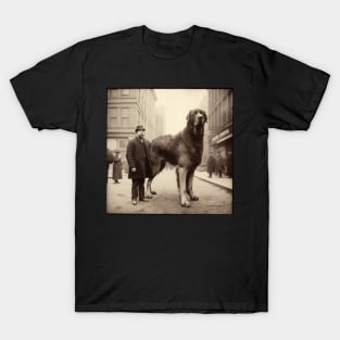 Big Dog from 1900 T-Shirt